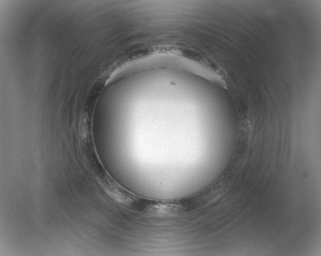 X0000078850323200612041913
