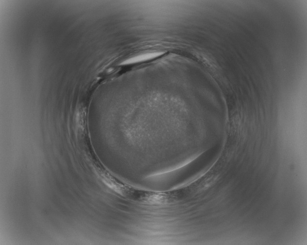 X0000078850325200612041913