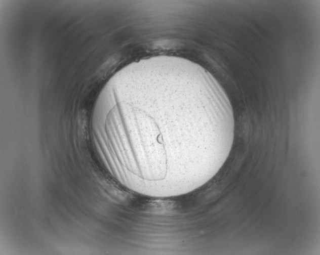 X0000078850328200612041913