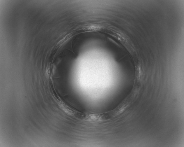 X0000078850329200612041913