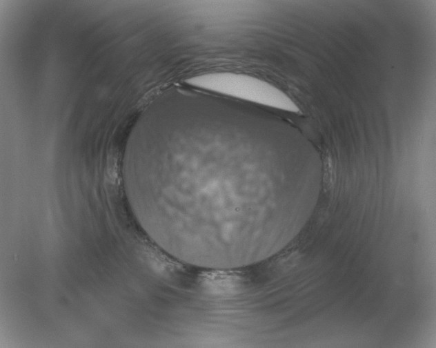 X0000078850331200612041912