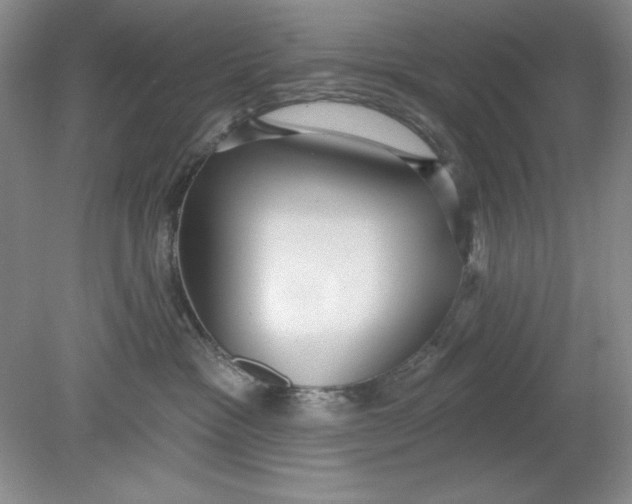 X0000078850333200612041912