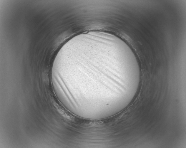X0000078850345200612041912