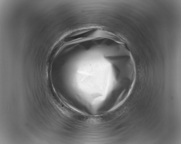 X0000078850350200612041912