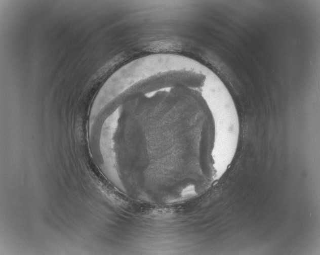 X0000078850353200612041912