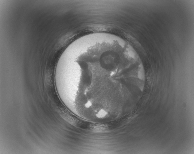 X0000078850359200612041912