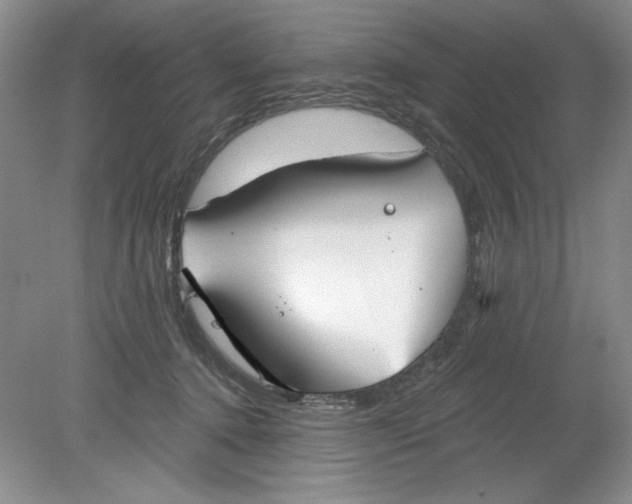 X0000078850368200612041912