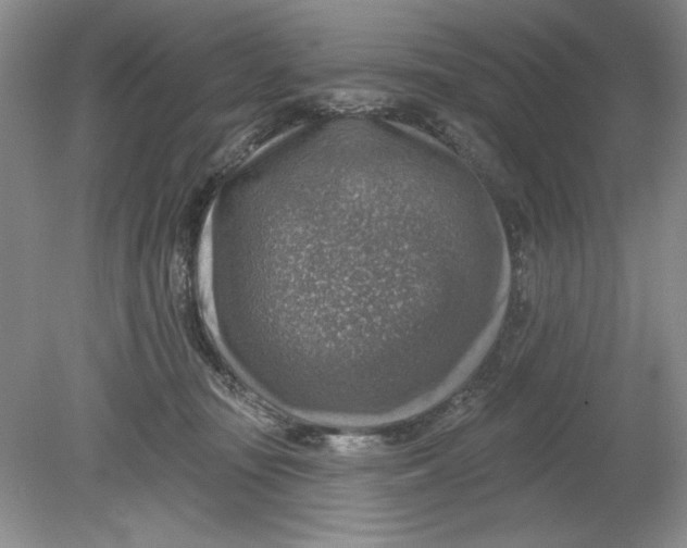 X0000078850371200612041912