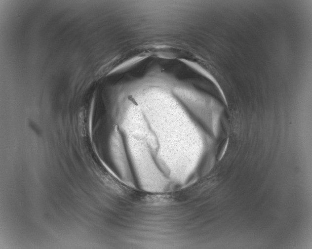 X0000078850378200612041912