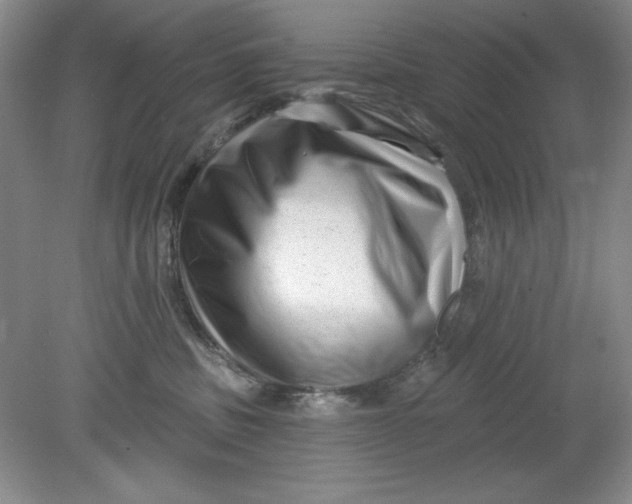 X0000078850379200612041912