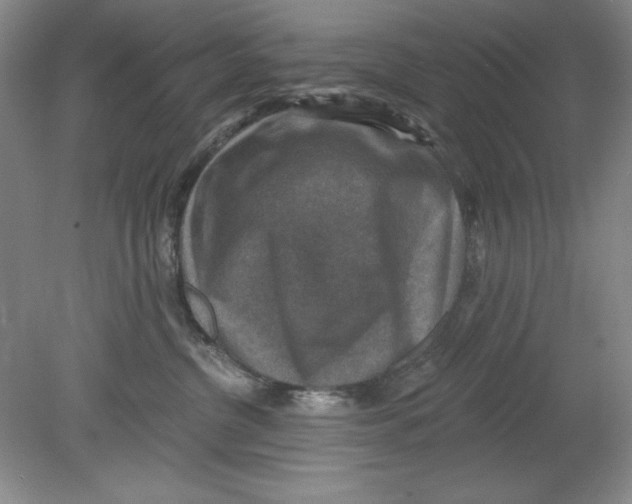 X0000078850380200612041912