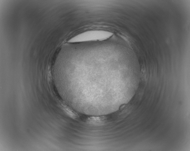 X0000078850381200612041912