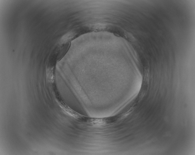 X0000078850383200612041912