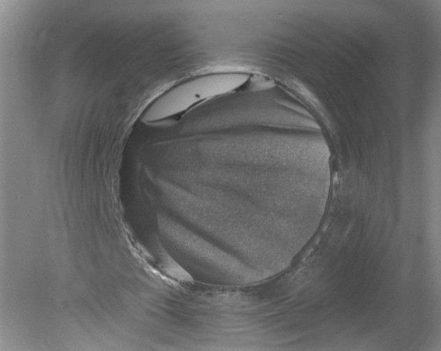 X0000078850385200612041912