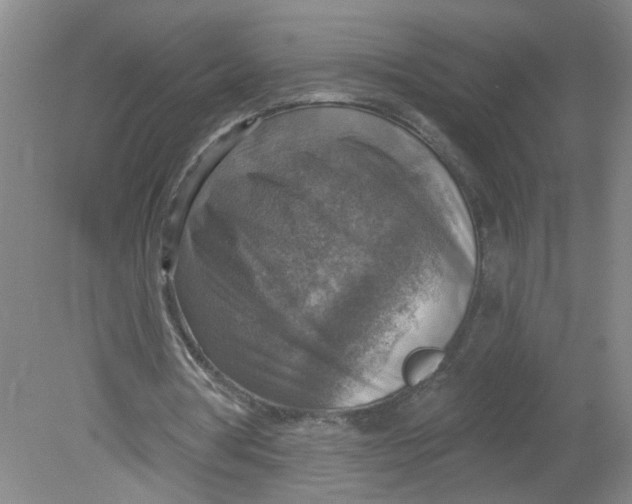 X0000078850386200612041912