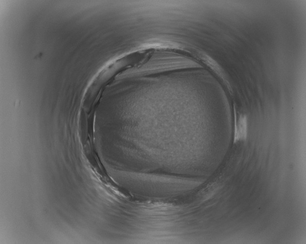 X0000078850387200612041912