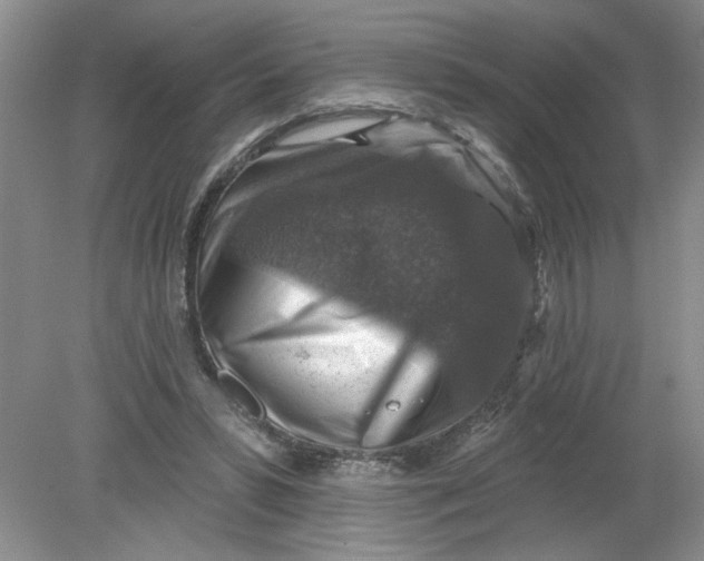X0000078850399200612041911