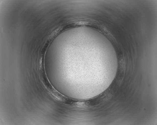X0000078850406200612041911