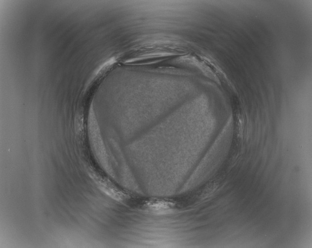 X0000078850407200612041911