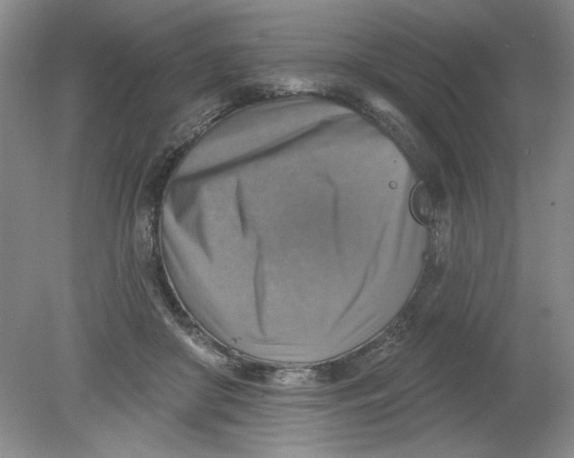 X0000078850410200612041911