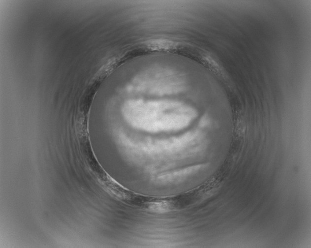 X0000078850411200612041911