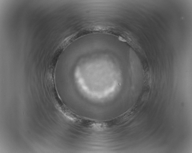 X0000078850415200612041911
