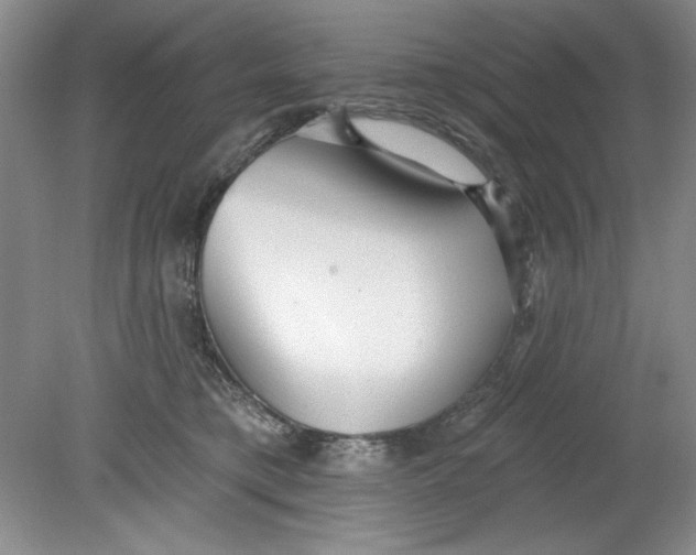 X0000078850421200612041911
