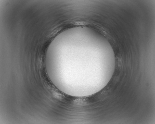 X0000078850422200612041911