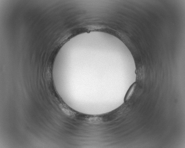 X0000078850426200612041911