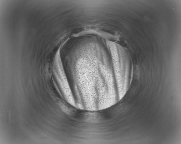 X0000078850428200612041911