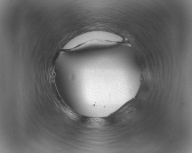 X0000078850429200612041911