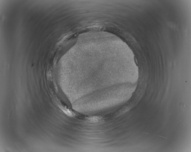 X0000078850432200612041911