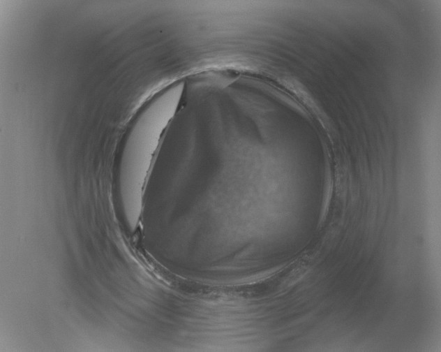 X0000078850434200612041910