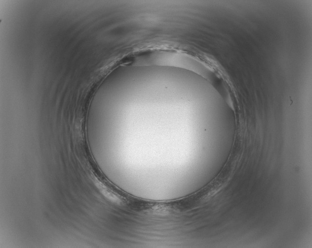 X0000078850441200612041910