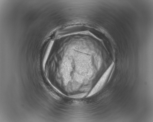 X0000078850442200612041910