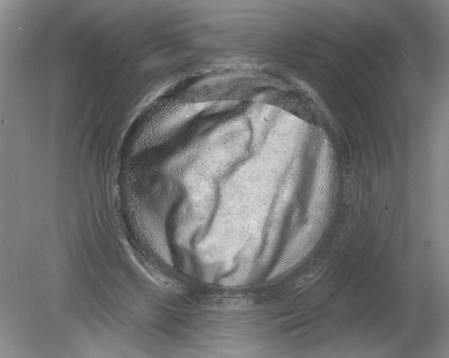 X0000078850443200612041910