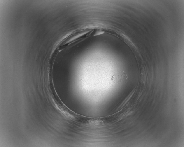 X0000078850446200612041910