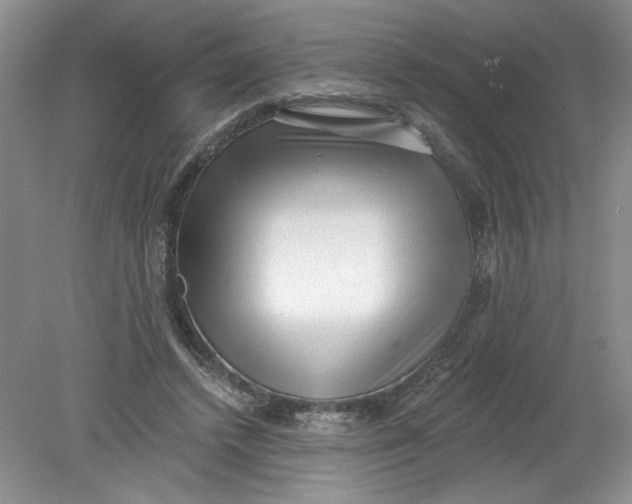 X0000078850448200612041910