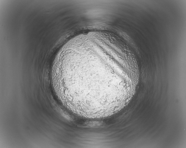 X0000078850449200612041910