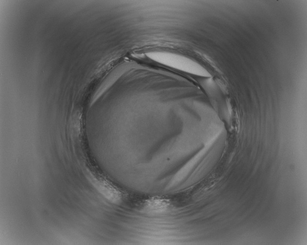 X0000078850451200612041910