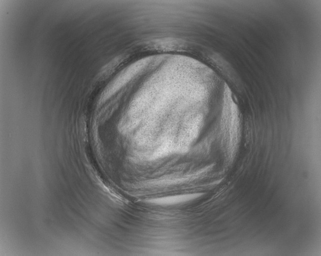 X0000078850453200612041910