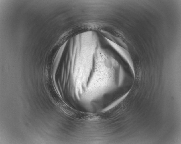 X0000078850456200612041910