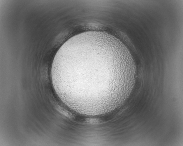 X0000078850457200612041910