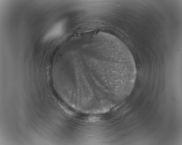 X0000078850462200612041910