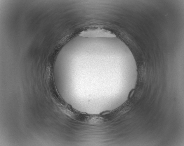 X0000078850463200612041910