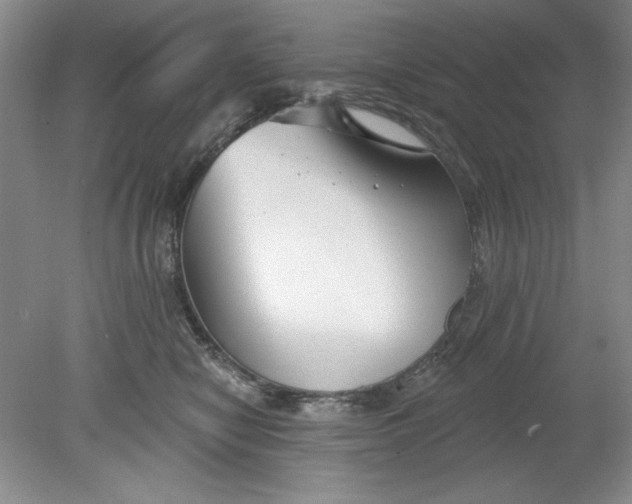 X0000078850470200612041911