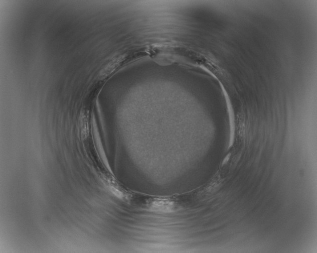 X0000078850471200612041911
