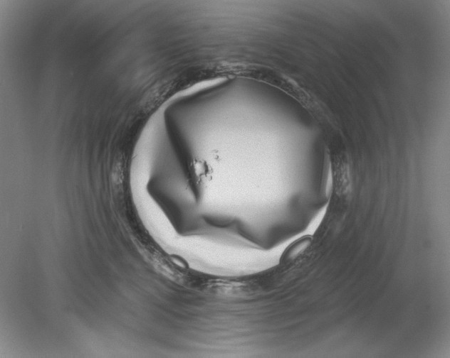 X0000078850472200612041911