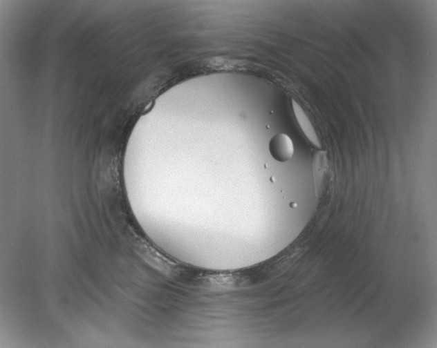 X0000078850473200612041911