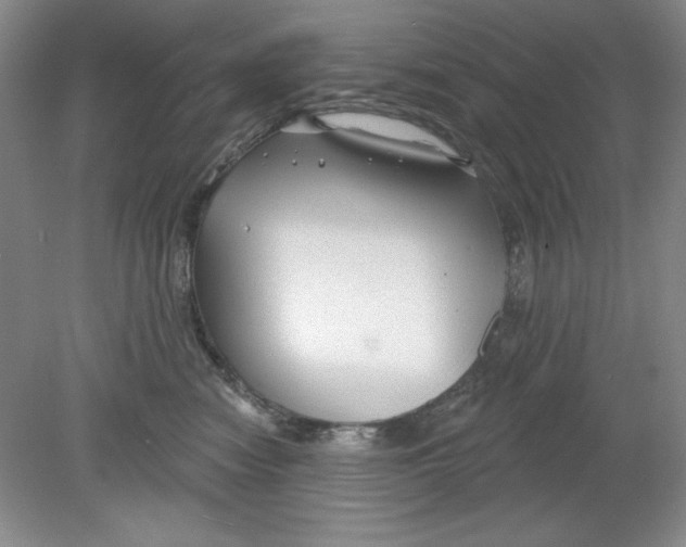 X0000078850474200612041911